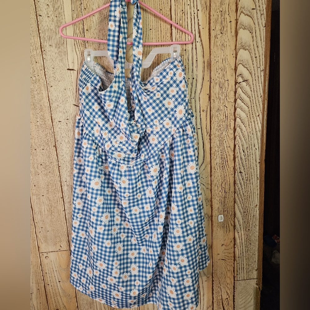 Blue dress with daisies size 3X